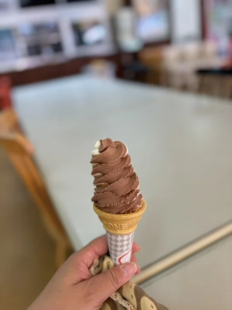 森の食堂 - 八木山動物公園（食堂）の写真