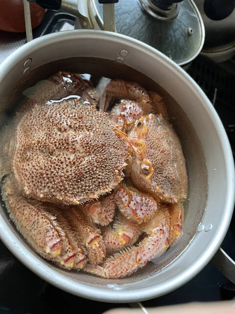 平初鮮魚店 - 女川（その他）の写真