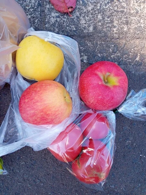 三国農園 - 中央弘前（その他）の写真