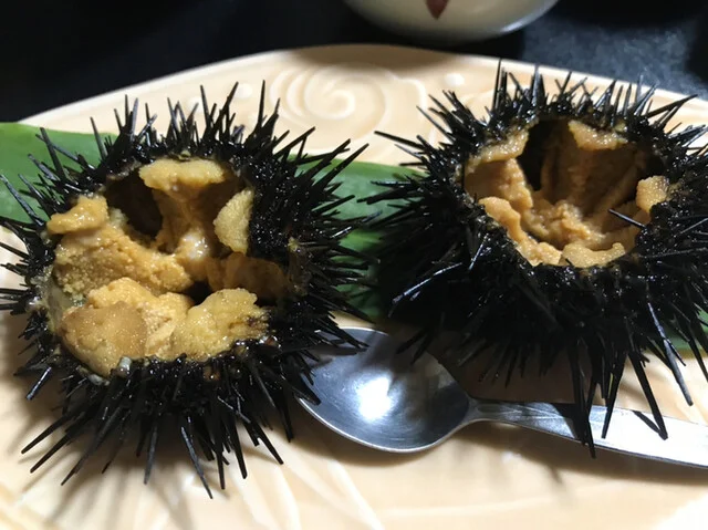 亀山荘 - 松岩（旅館・民宿）の写真