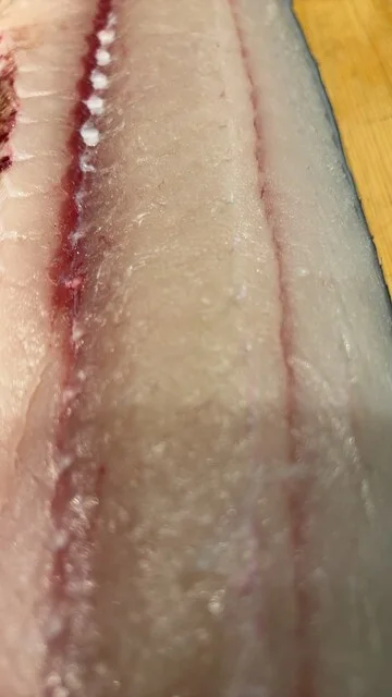 和料理 紫音 - 勾当台公園（日本料理）の写真