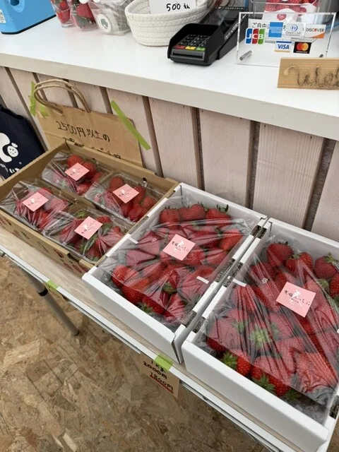 ケロケロの杜（KEROKERO NO MORI） - 仙台空港（その他）の写真