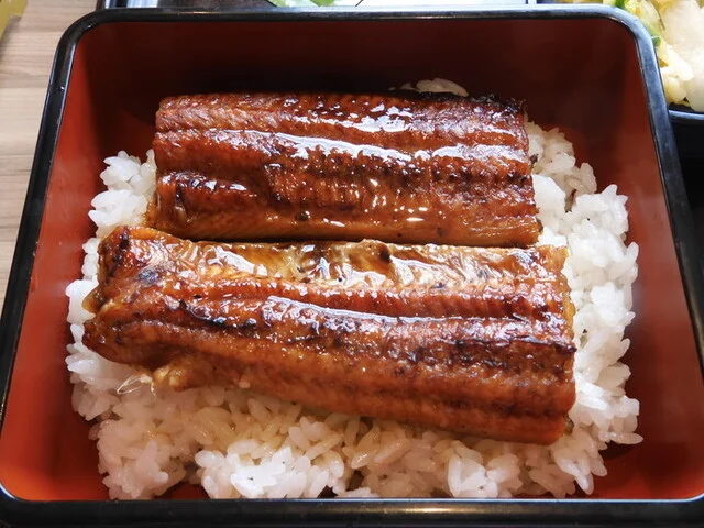 吉野家 ４号線宮城古川店 - 古川（牛丼）の写真