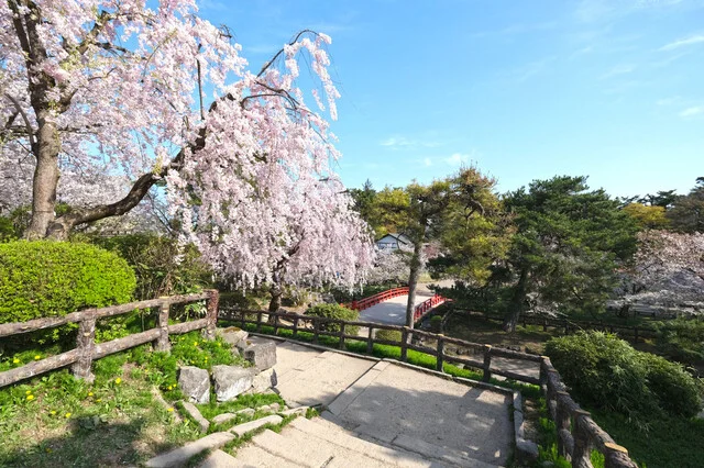 車寿司 - 中央弘前（寿司）の写真