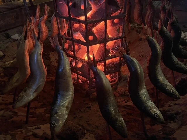 炉端酒場 だぃつ - 本八戸（居酒屋）の写真