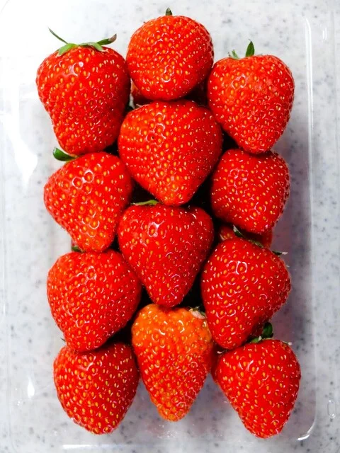 おおくまふれあいセンター - 逢隈（その他）の写真