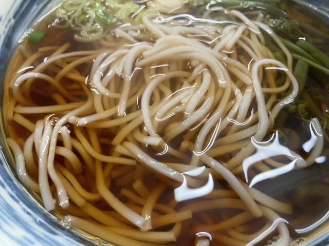 大谷製麺工場 - 青森（麺類）の写真