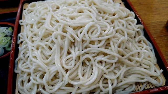 あすなろ	（翌檜） - 北山（そば）の写真