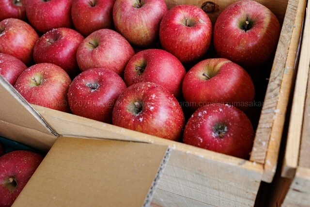 カフェ ショボーン（Cafe SHO・BUON） - 十和田市（カフェ）の写真