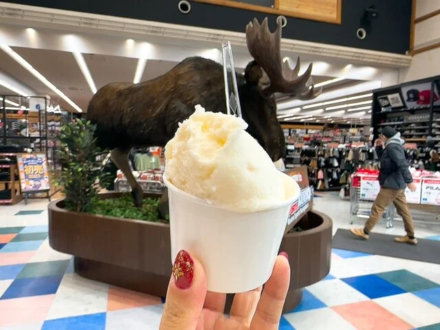 カザロ - 泉中央（ジェラート・アイスクリーム）の写真