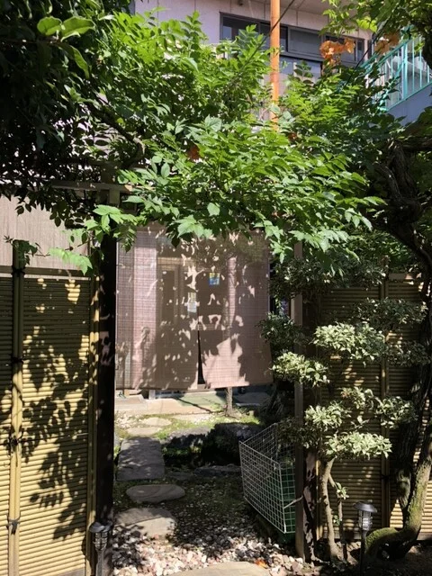 グリーンパール納豆本舗 - 大河原（その他）の写真