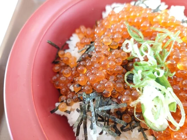 すき家 弘前中野店 - 弘前学院大前（牛丼）の写真