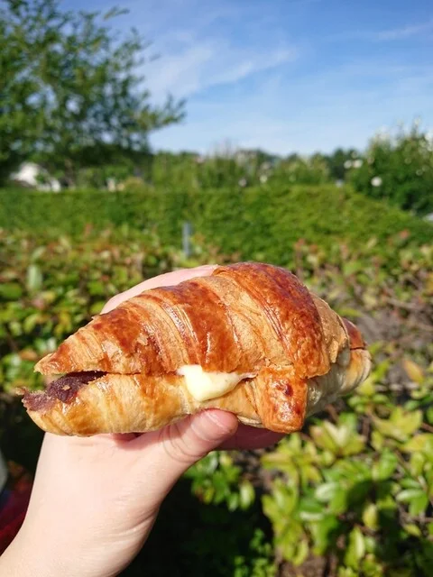 Chateraise PREMIUM YATSUDOKI グリーンマート桂（シャトレーゼ プレミアム ヤツドキ） - 泉中央（ケーキ）の写真