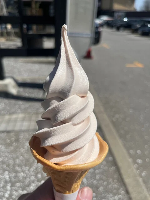 ねぷた村 ファーストフードコーナー - 中央弘前（ジェラート・アイスクリーム）の写真