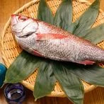 金沢おでんと日本海料理 加賀の屋 - 勾当台公園（日本料理）の写真