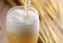 cafe KITAMON（カフェ キタモン） - 中央弘前（喫茶店）の写真