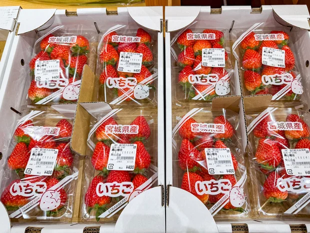 道の駅 大谷海岸 - 大谷海岸（道の駅）の写真