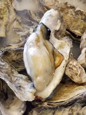 塩竈かき小屋 本店（塩釜かき小屋） - 東塩釜（シーフード）の写真