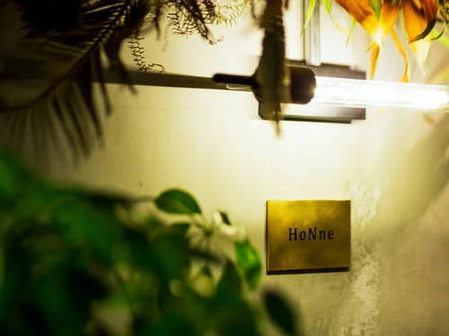 HoNne（本音） - 青葉通一番町（居酒屋）の写真