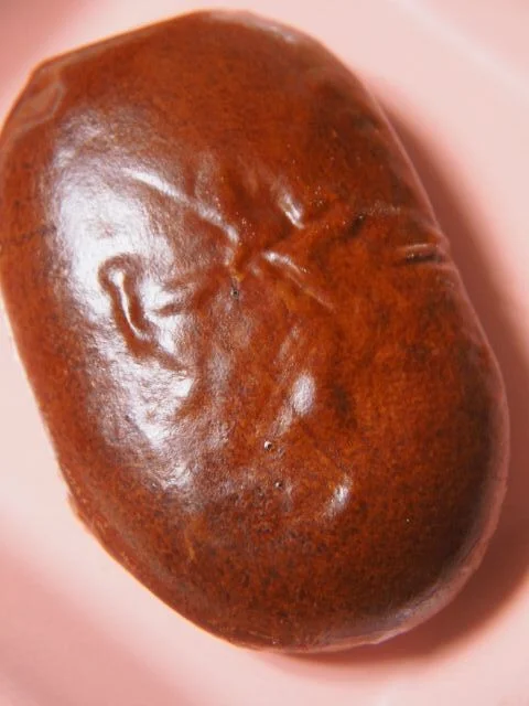 株式会社 工藤パン - 青森（その他）の写真