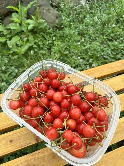 定山渓ファーム - 札幌市南区その他（ハンバーガー）の写真