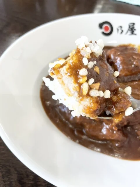 初訪問 : 日乃屋カレー 北見公園町店の写真