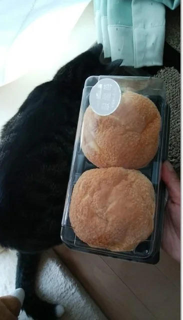 口コミ一覧 : セイコーマート 北見青葉店の写真