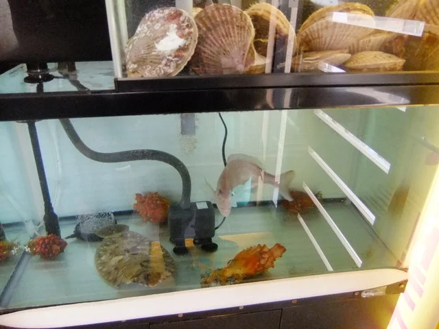 口コミ一覧 : 居酒屋 夢ら家の写真