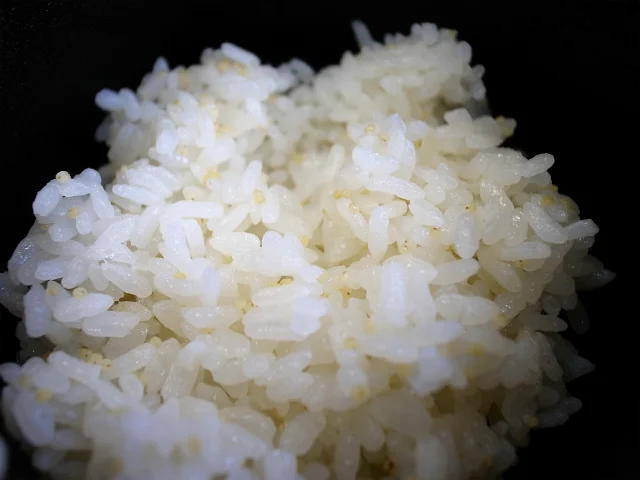 楽校のそば屋 - 八戸（そば）の写真