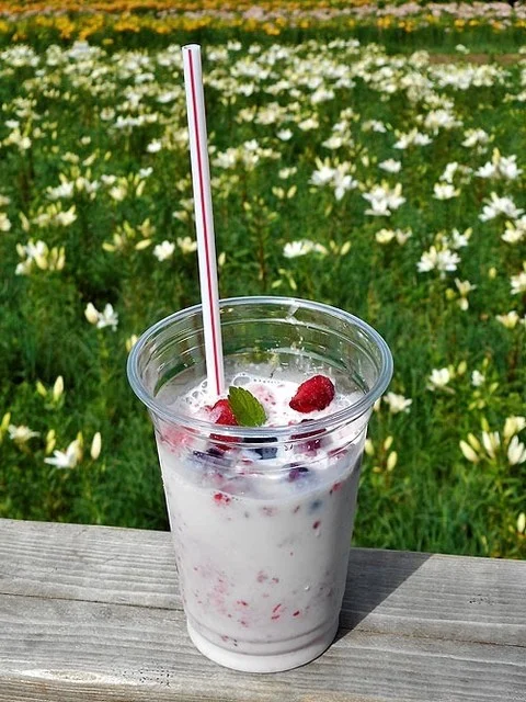 山頂カフェ シーガル - 銭函（カフェ）の写真