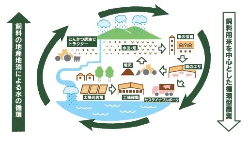 とんかつと豚肉料理 平田牧場 tekuteせんだい店 - 仙台（とんかつ）の写真