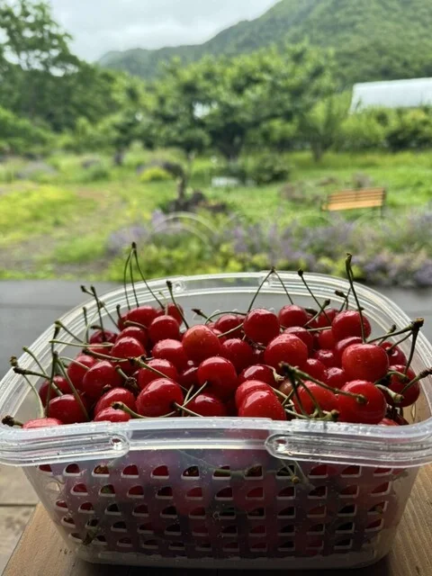 定山渓ファーム - 札幌市南区その他（ハンバーガー）の写真