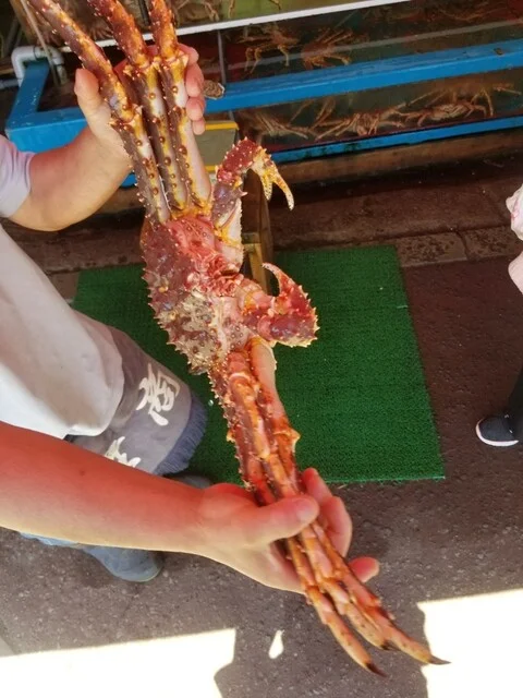 蟹商 本店（カニショウ） - 函館駅前（その他）の写真