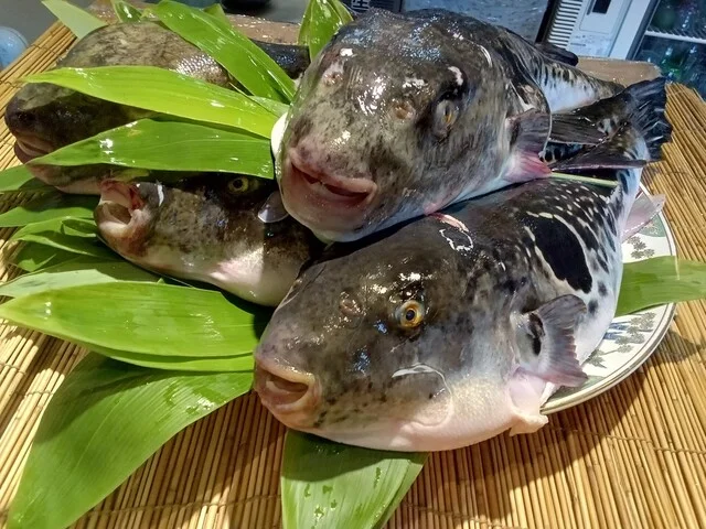 せん年萬年 - 東室蘭（日本料理）の写真