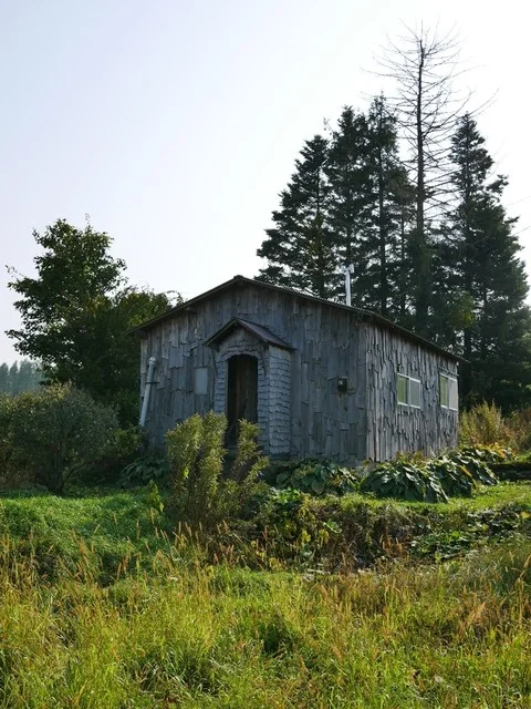 エゾアムプリン製造所 - 富良野（プリン）の写真