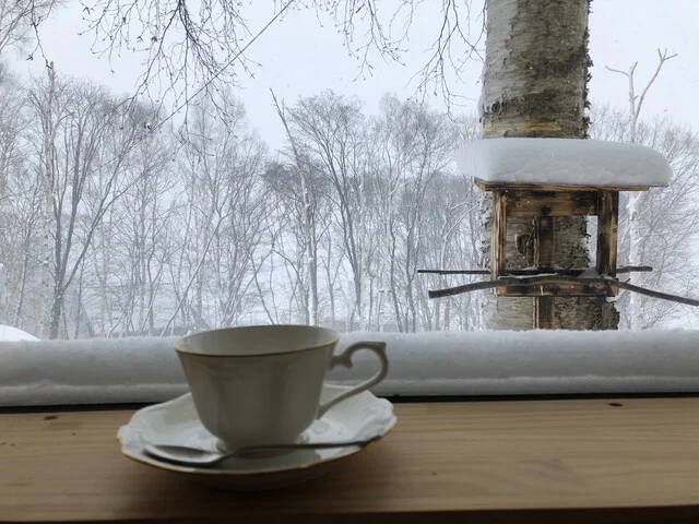 モリノカフェ - 小樽（カフェ）の写真