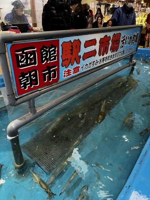 函館朝市 駅二市場 活いか釣り広場 - 函館（海鮮）の写真