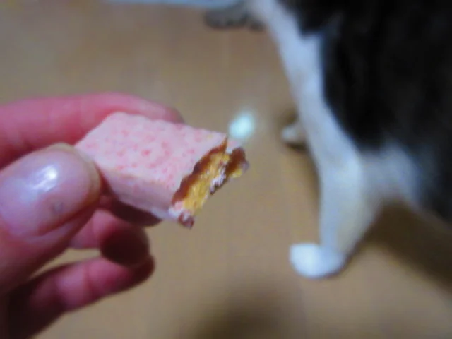 東武イーストモール 端野店 - 愛し野（その他）の写真