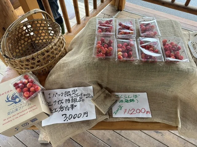 定山渓ファーム - 札幌市南区その他（ハンバーガー）の写真