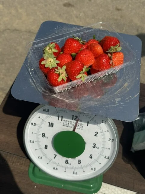 定山渓ファーム - 札幌市南区その他（ハンバーガー）の写真