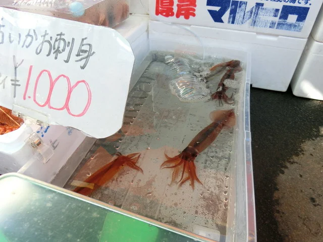 口コミ一覧 : 函館朝市 加藤商店の写真