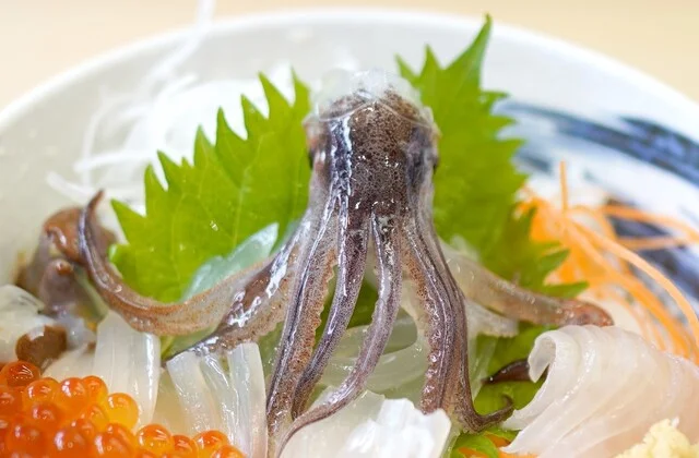 口コミ一覧 : 一花亭たびじの写真