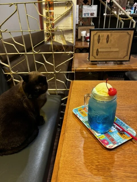 セブンカフェ（VII CAFE） - 旭川（バー）の写真