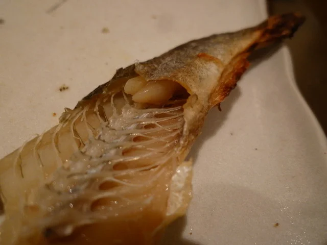 居酒屋おおにし - 帯広（居酒屋）の写真