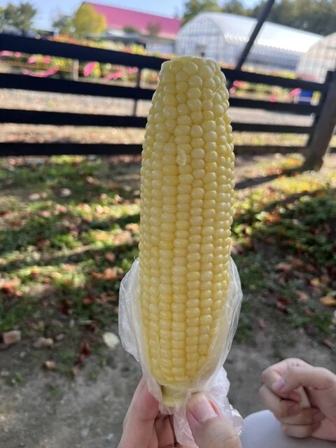 四季彩の丘 売店 - 美馬牛（その他）の写真