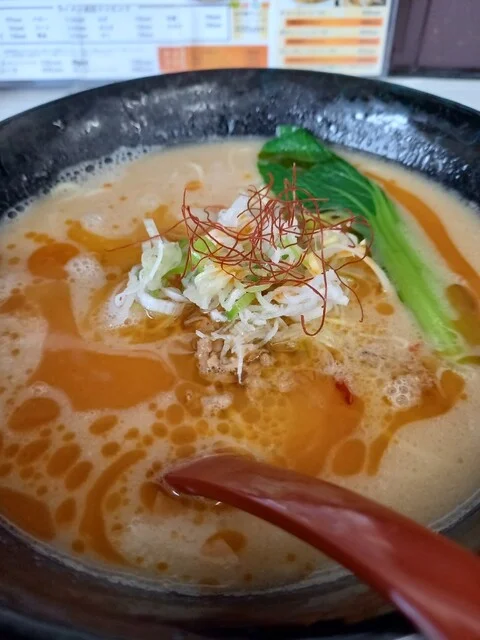 Japanese Noodle House さくら - 沼ノ端（ラーメン）の写真