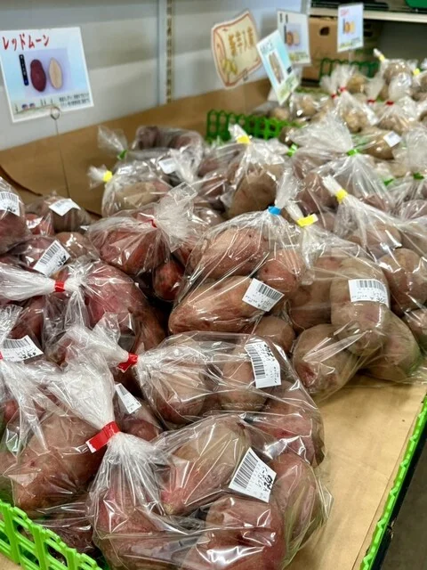 グリーンヒル905（グリーンヒルキュウマルゴ） - 網走（その他）の写真