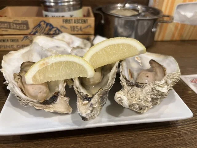 十勝酒場一心 - 帯広（鳥料理）の写真