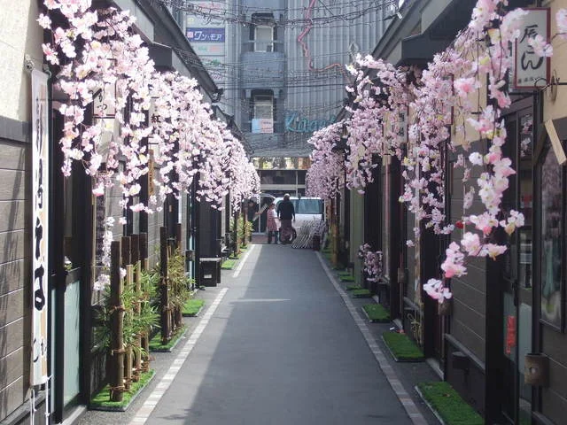 天ぷら てんかつ（【旧店名】寿し・天ぷら てんかつ） - 帯広（天ぷら）の写真