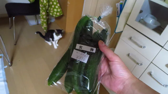 グリーンヒル905（グリーンヒルキュウマルゴ） - 網走（その他）の写真